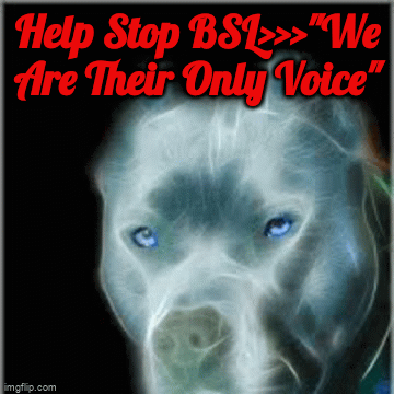 "Voices Carry For Animals #472" - Breed Specific Legislation
