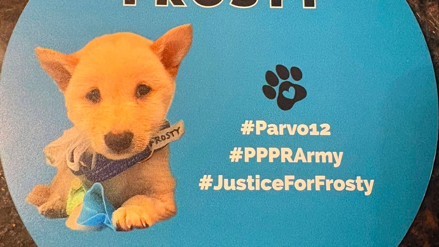 Voices Carry For Animals Podcast #538" -Pawlicious Poochie Pet Rescue